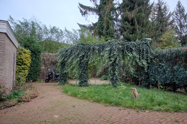 Medium property photo - Torenlaan 15, 6866 BS Heelsum